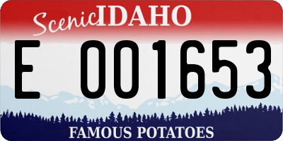 ID license plate E001653