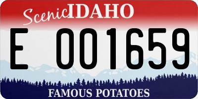 ID license plate E001659