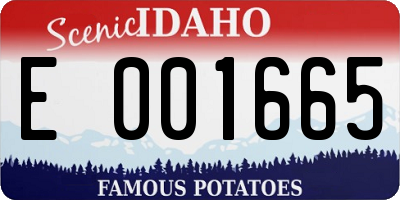 ID license plate E001665
