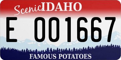 ID license plate E001667