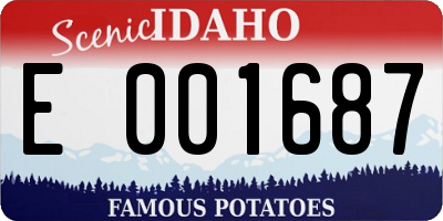 ID license plate E001687