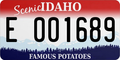 ID license plate E001689