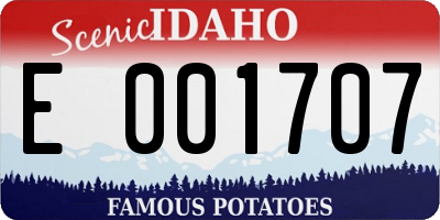 ID license plate E001707