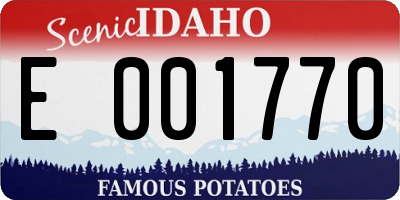 ID license plate E001770