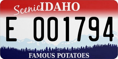 ID license plate E001794