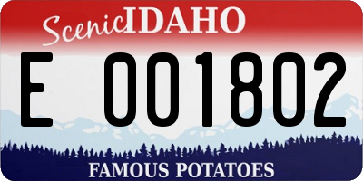 ID license plate E001802