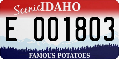 ID license plate E001803