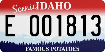 ID license plate E001813