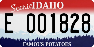 ID license plate E001828