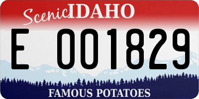 ID license plate E001829