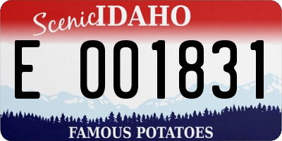 ID license plate E001831