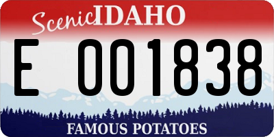 ID license plate E001838