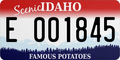 ID license plate E001845