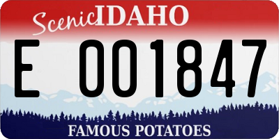 ID license plate E001847