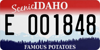 ID license plate E001848