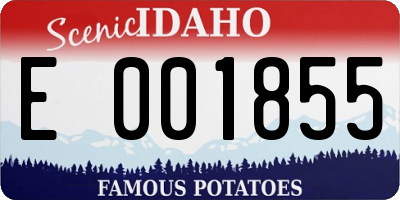 ID license plate E001855