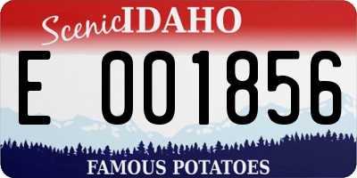 ID license plate E001856