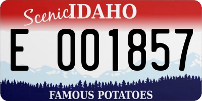 ID license plate E001857