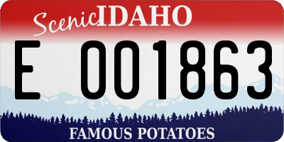 ID license plate E001863