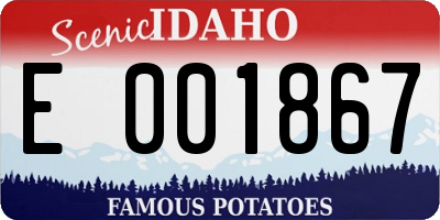 ID license plate E001867