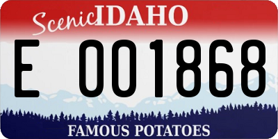 ID license plate E001868