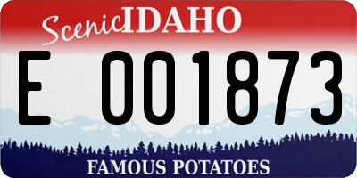 ID license plate E001873