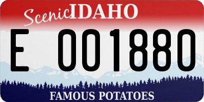 ID license plate E001880