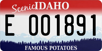 ID license plate E001891