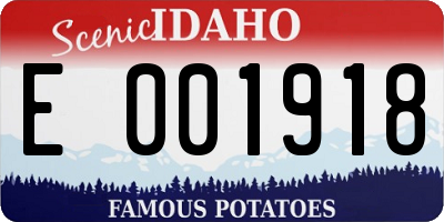 ID license plate E001918