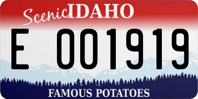 ID license plate E001919