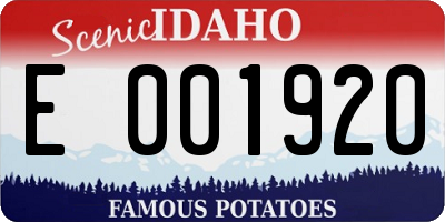 ID license plate E001920