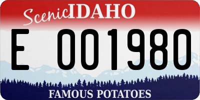 ID license plate E001980