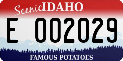 ID license plate E002029