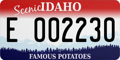 ID license plate E002230