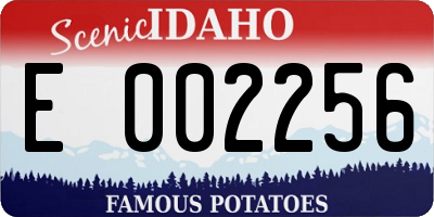 ID license plate E002256