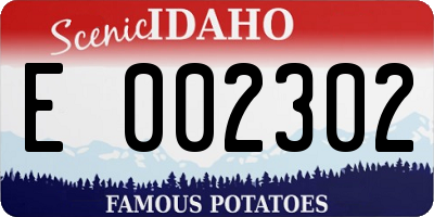 ID license plate E002302