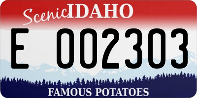 ID license plate E002303