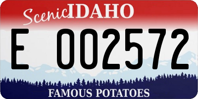 ID license plate E002572