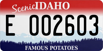 ID license plate E002603