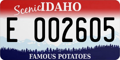 ID license plate E002605