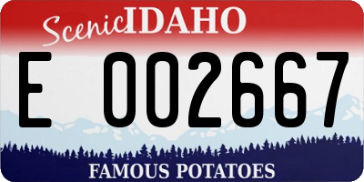 ID license plate E002667