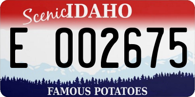 ID license plate E002675