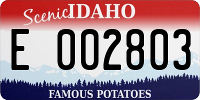 ID license plate E002803