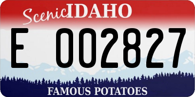 ID license plate E002827