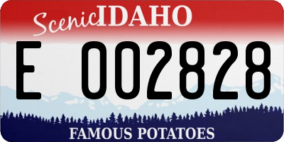 ID license plate E002828