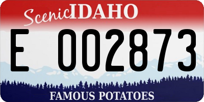 ID license plate E002873