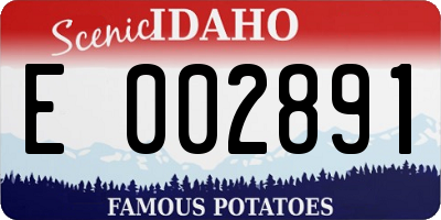 ID license plate E002891