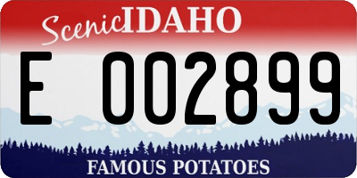 ID license plate E002899