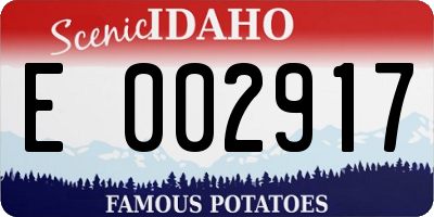 ID license plate E002917