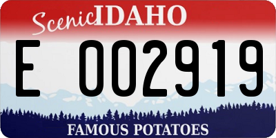 ID license plate E002919